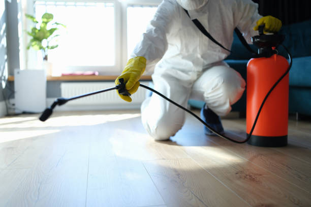 Reliable Odor Removal contractor in Gladstone, OR by Trauma Clean Pros